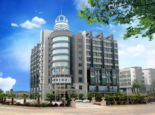 Foshan Chine VIP Hotel code promo booking.com