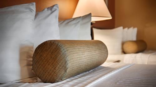 Anaheim (Californie) États Unis VIP Hotel code promo booking.com