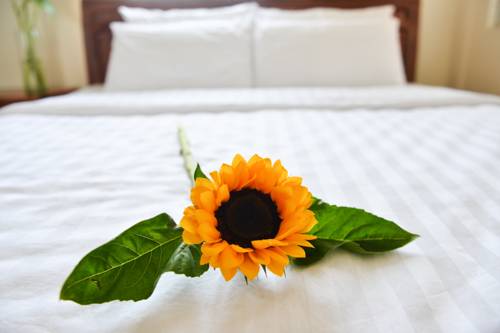 Da Nang Vietnam VIP Hotel code promo booking.com