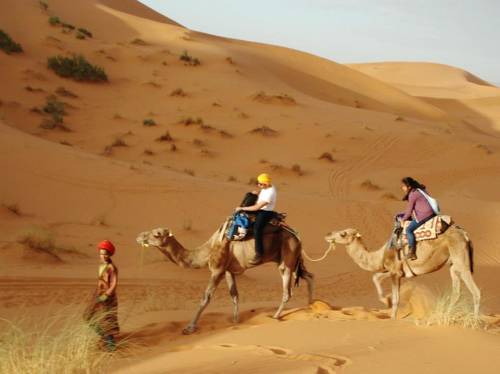 梅祖卡 摩洛哥 Merzouga VIP 酒店促销代码 booking.com