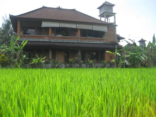 乌布 印度尼西亚 Ubud VIP 酒店促销代码 booking.com