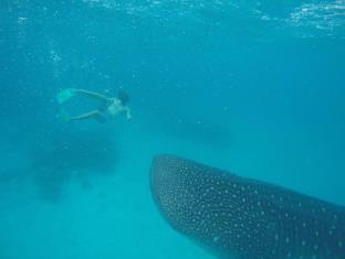马尔代夫群岛 马尔代夫 Maldives Islands VIP 酒店促销代码 agoda.com