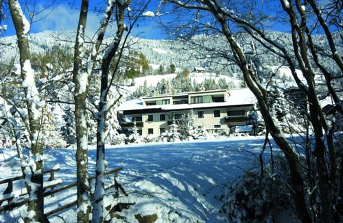 巴特·克莱因基希海姆 奧地利 Bad Kleinkirchheim VIP 酒店促销代码 booking.com